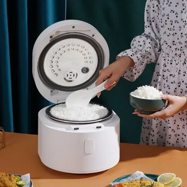 Cuiseur à riz intelligent 110  - Baby Food Japan avis et prix