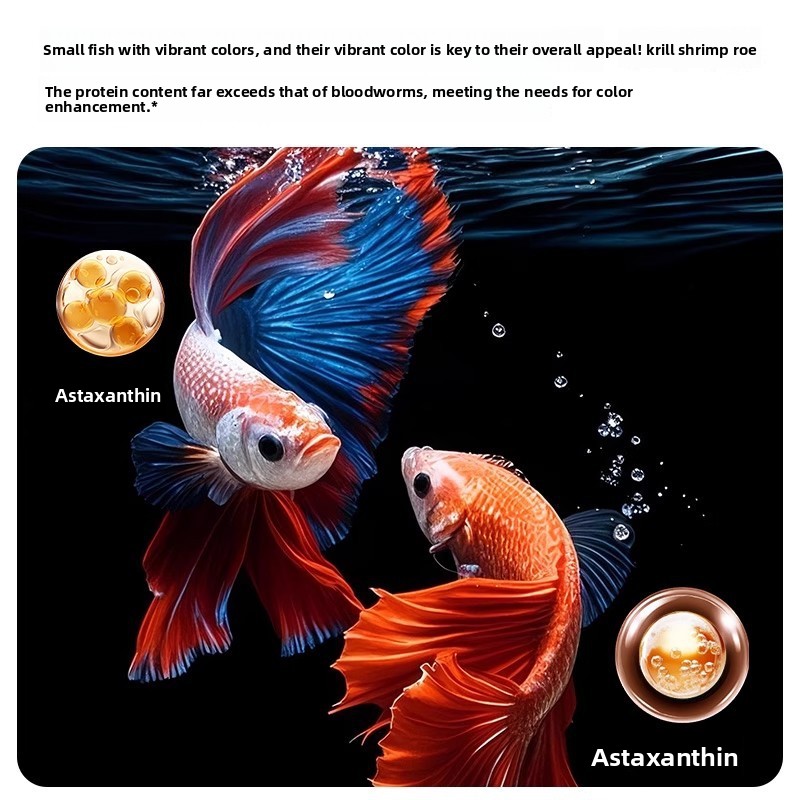 Yee Krill & Baby Shrimp Alimen - Dry Food Baby avis et prix